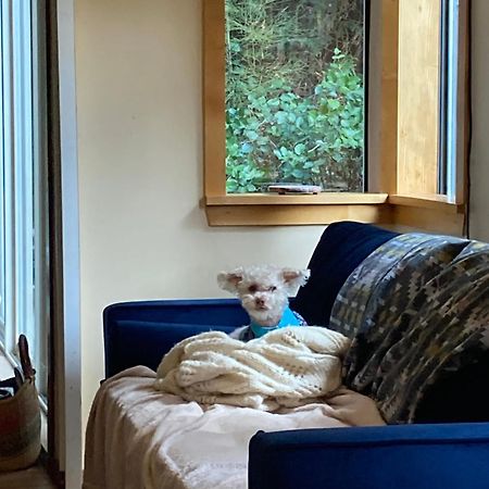 Forest Haven Hideaway Roberts Creek Buitenkant foto