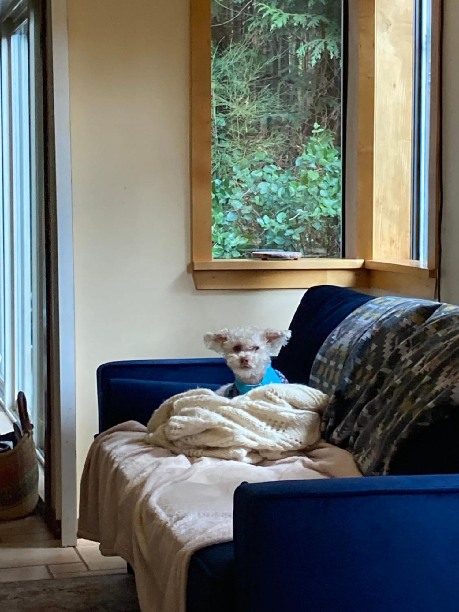 Forest Haven Hideaway Roberts Creek Buitenkant foto