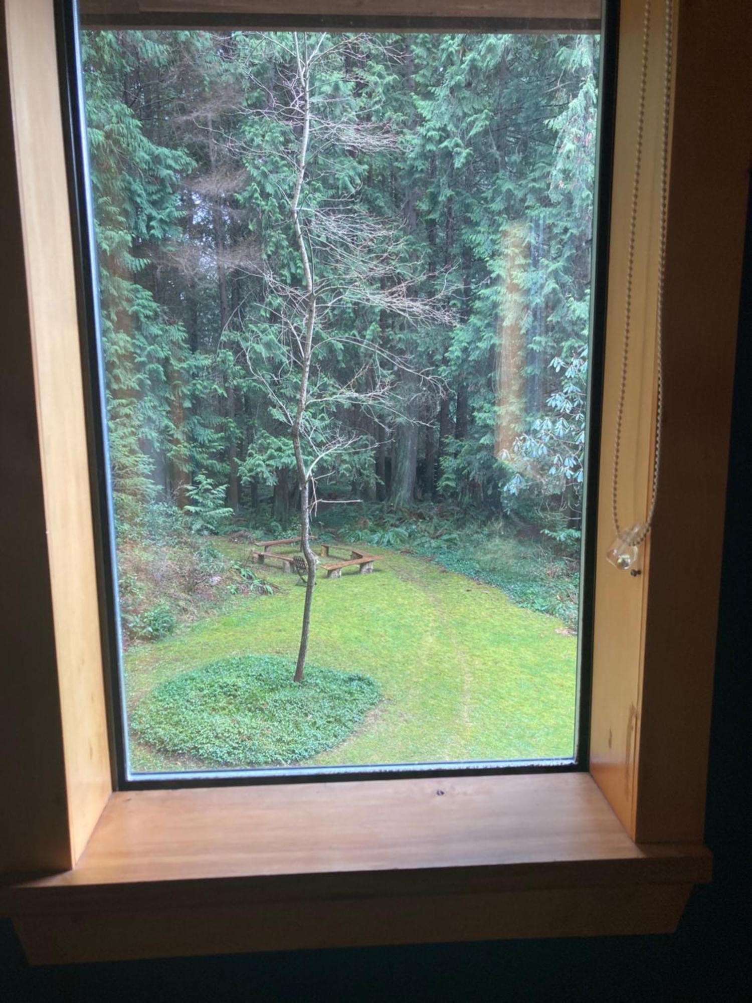 Forest Haven Hideaway Roberts Creek Buitenkant foto
